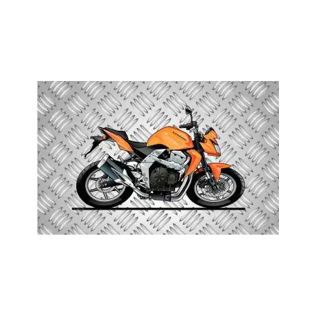 Tapis de sol Kawazaki Z750 Vente Flash