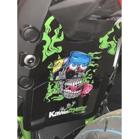 Vente Flash Kit déco passage de roue KAWAZOMBIE KAWASAKI 650 NINJA Z650 2017-2020