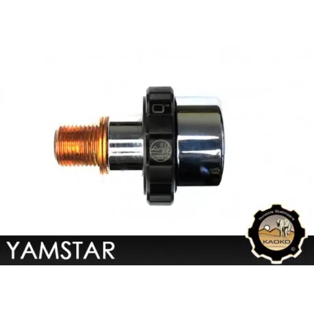 Stabilisateur de vitesse moto KAOKO Cruise Control YAMAHA XVS MIDNIGHT STAR XVS ROADSTAR Must-Have