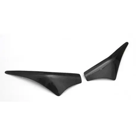 Sliders de réservoir R&G RACING carbone APRILIA TUONO 1100 V4 RVS4 1100 2021-2024 Nouvelle Collection