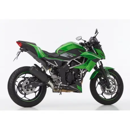 Quantité Limitée Echappement SHARK GP SERIES KAWASAKI Z125 NINJA 125 2019-2022
