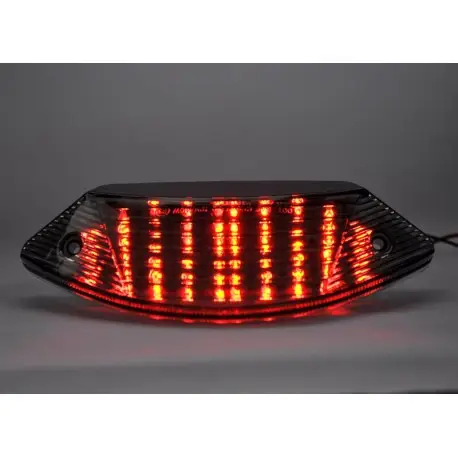Feux arrière leds avec clignotants intégrés LEDS HONDA CB 600 HORNET 2003-2006 CB 900 HORNET 2001-2008 Acheter En Ligne