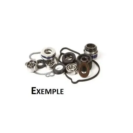Prix Réduit Kit réparation de pompe à eau HOT ROD KAWASAKI KX 80 KX 85 KX 100 SUZUKI RM 100