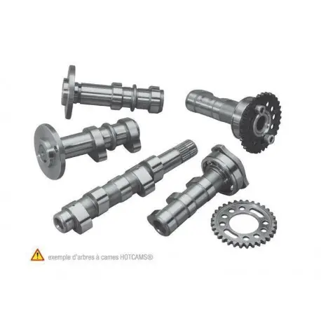 Arbre à cames échappement + admission HOT CAMS Niveau 1 YAMAHA YZF-F 450 2010-2013 Dernière Chance