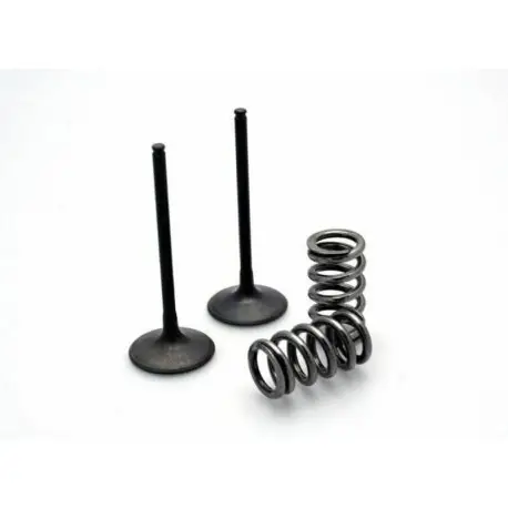 Satisfait Ou Remboursé Kit de soupapes d'admission PROX acier HUSQVQARNA FC 250 KTM SX-F 250 SX-F 450