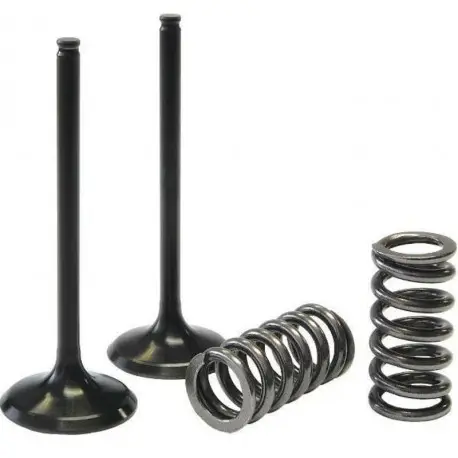 Kit conversion de soupapes d'admission PROX acier KAWASAKI KX 250 F Achat Immédiat