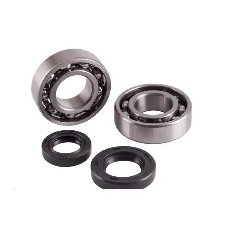 Kit roulements et joints spi de vilebrequin TOP PERFORMANCES SUZUKI AN 250 BURGMAN AN 400 BURGMAN Nouvel Arrivage