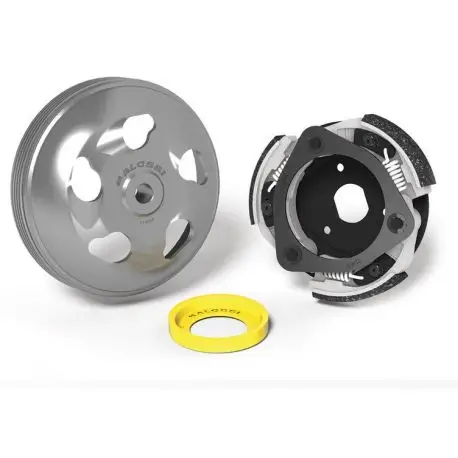 Embrayage et cloche Malossi Delta réglable Honda 125 FORZA Vente Directe
