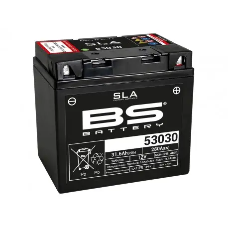 Batterie BS Battery SLA 53030 Usine Directe