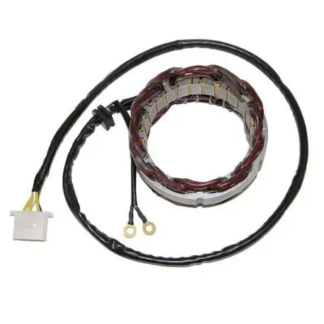 Expédié Aujourd’hui Stator ELECTROSPORT Honda CB750F CB750S SUPERSPORT CB750SC NIGHTHAWK CB900F F2 BOL D&rsquo;OR