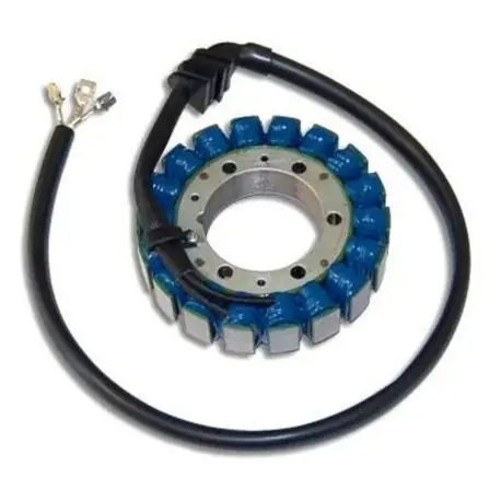 Jusqu’à Épuisement Des Stocks Stator ELECTROSPORT Honda CBR900RR CBR929RR SC44 2000-2001