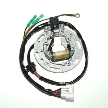 Offre Du Jour Stator ELECTROSPORT KAWASAKI KX85 KX100 2001-2005