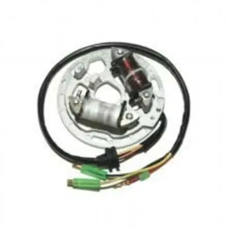 Stator ELECTROSPORT KAWASAKI KDX200 1989-1998 KDX220 1997-2005 Top Vente