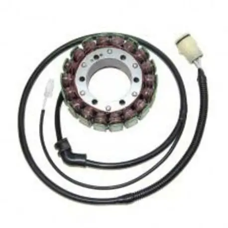 Stator ELECTROSPORT Kawasaki ZX12R ZX1200A Seulement Aujourd’hui