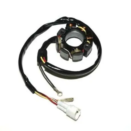 Réduction Stator ELECTROSPORT KTM SX-F250 SX250 SX400 SX450 SX525 RACING SMR450 SMR560