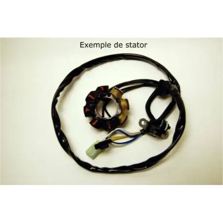 Stator ELECTROSPORT SUZUKI RM125 1992-1997 RM250 1994-1995 LT-F4WD QUAD RUNNER Meilleur Choix