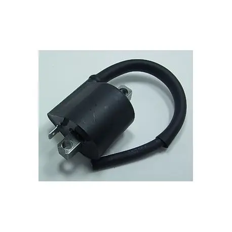 Vente Directe Bobines d'allumage Kawasaki KX250 1995-2002