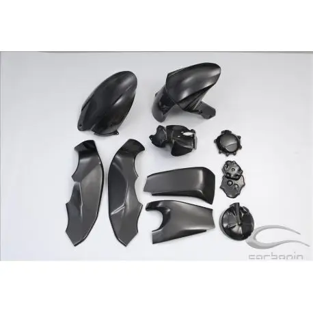 Marque Carénage carbone piste KAWASAKI ZX10R 2008-2010