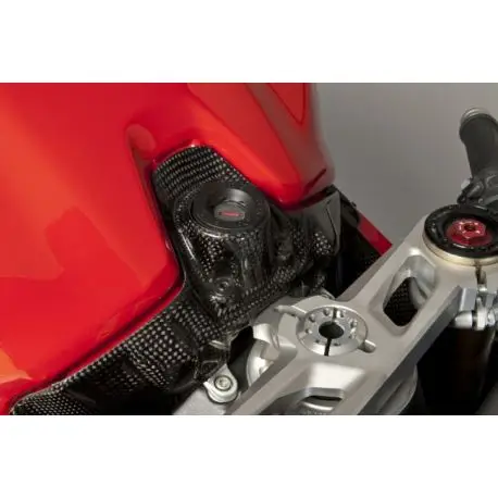 Prix Bas Entourage de clé carbone DUCATI PANIGALE