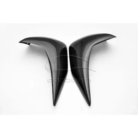 Paire d'ecopes de radiateur carbone KAWASAKI Z750 2007-2008 Marque