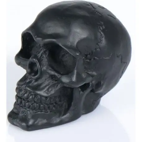 Offre Exclusive Figures décoratives de tête de mort