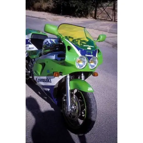 Acheter En Ligne Bulle taille origine Ermax KAWASAKI ZXR 750 STINGER 1989-1990