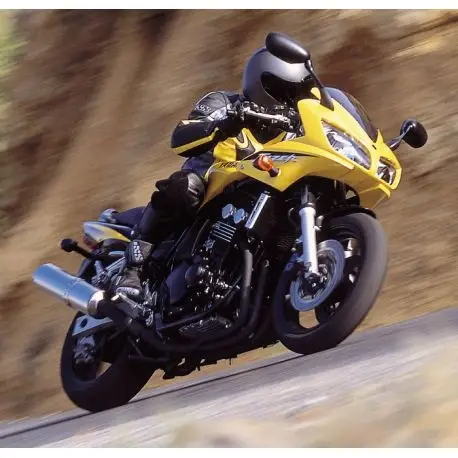 Jusqu’à Épuisement Des Stocks bulle taille origine Ermax YAMAHA FZS 600 FAZER 2002 à 2003