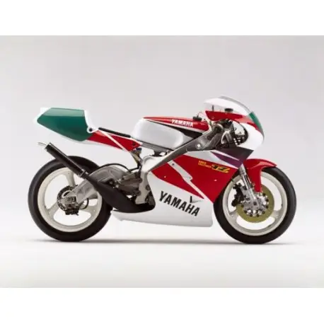 bulle ERMAX racing YAMAHA TZ 250 1989-1998 Certifié