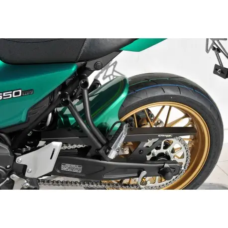 Prix Cassé Garde boue ermax KAWASAKI Z650RS 2011-2025