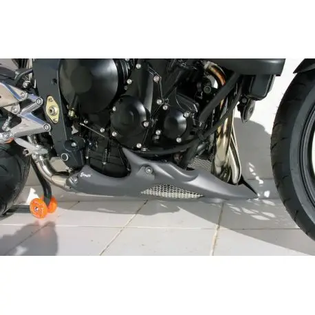 Sabot moteur ERMAX TRIUMPH 675 STREET TRIPLE R 2009-2011 Nouvelle Collection