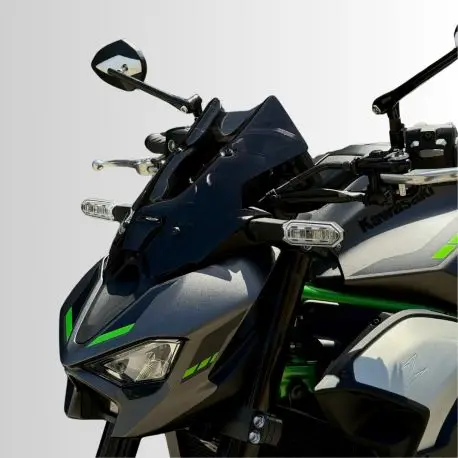 Offre Du Jour Saute vent ERMAX KAWASAKI Z900 2025-2026
