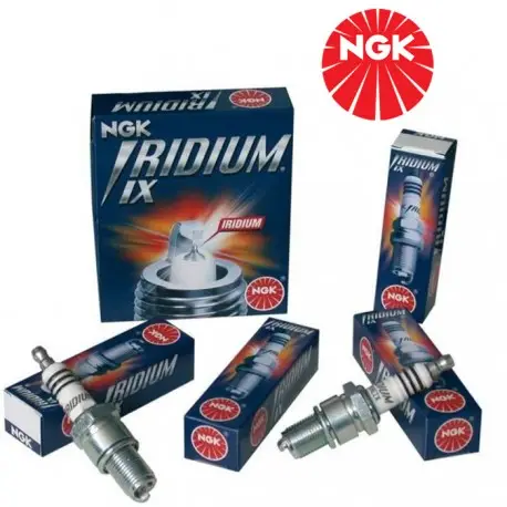 Bon Marché NGK Iridium IX Ford