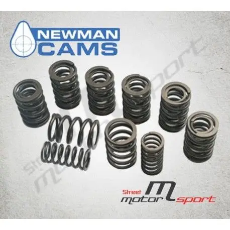 16 Doubles Ressorts de soupapes Volkswagen GTi 16 Newman Cams| ABF/KR/9A - DNS2673 Commander Maintenant