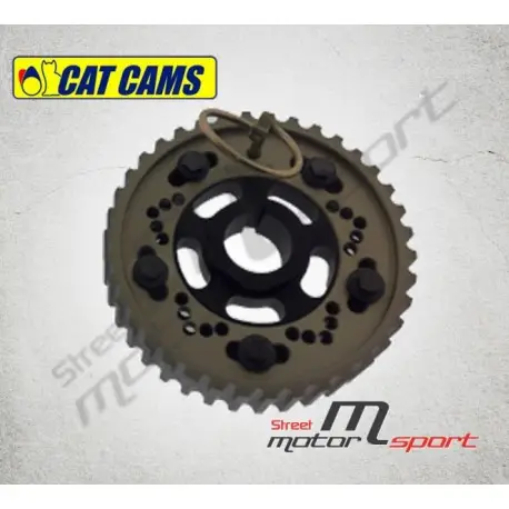 Poulie CAT CAMS Fiat Cinquecento,Seicento 1.0L/1.1L - CTFI031 Prix Choc