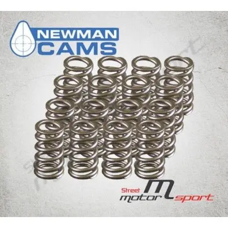 Satisfait Ou Remboursé 16 Ressorts de soupapes Peugeot 206 1.6L S16 Newman Cams - DNS2670