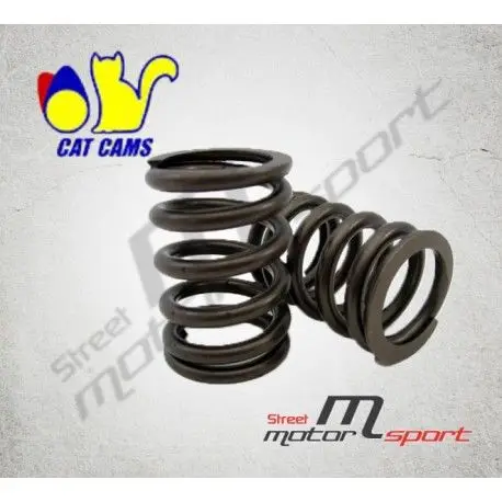 Ressorts de soupapes renforcés CAT CAMS Peugeot 306 S16 XU10J4 Nouveauté