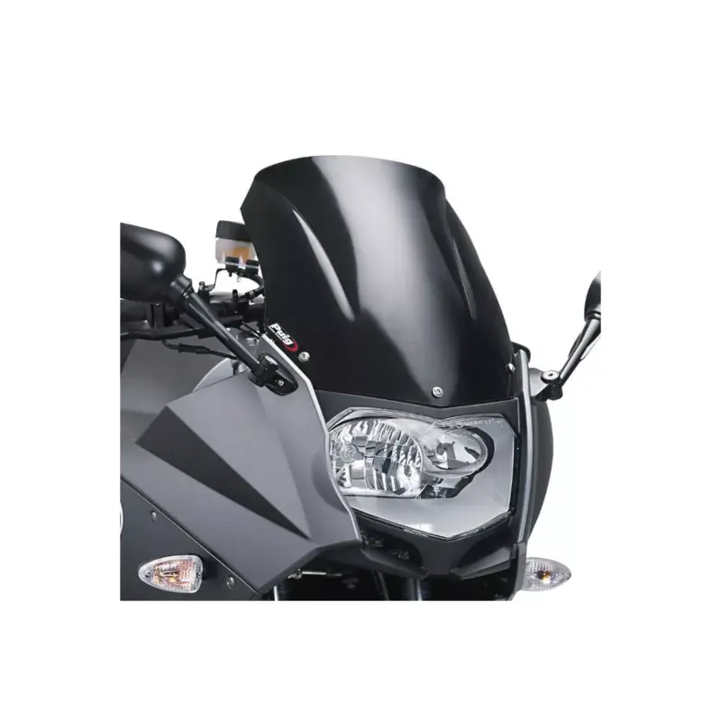 Offre Exclusive Puig - Bulle Racing 4376 - BMW F 800 S / ST 06-13