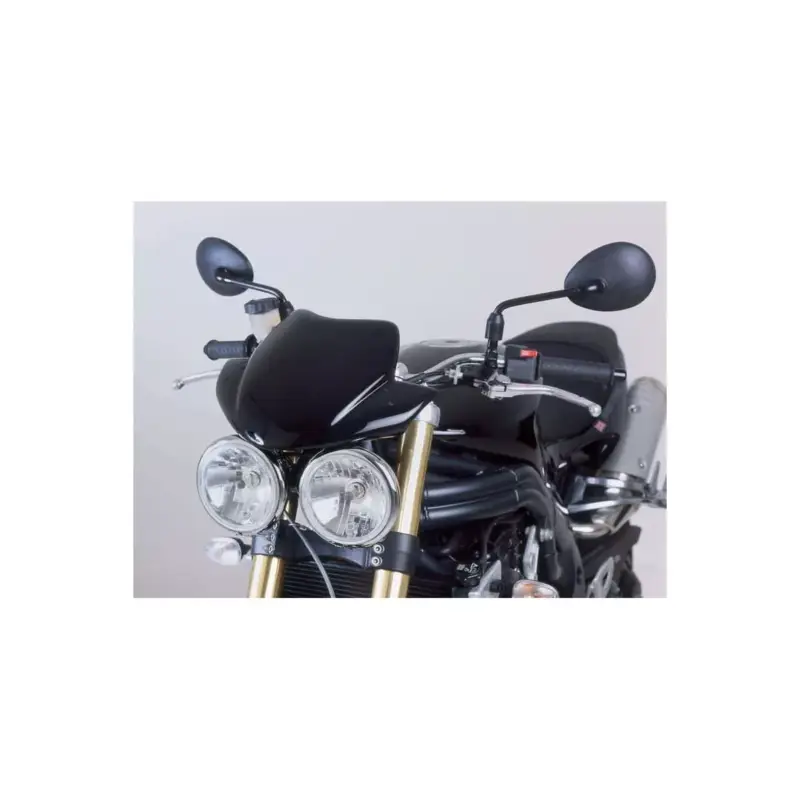 Puig - Saut-vent Naked New Generation Sport 3930 - Triumph Speed Triple 1050 2004-2010 et Street Triple 675 2007-2010 Meilleur Prix