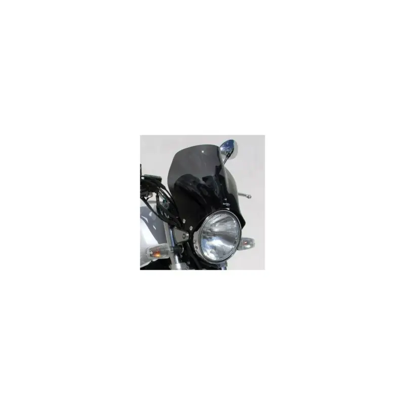 Livraison Gratuite Saute Vent Speed Max 25cm Ermax - Yamaha YBR125